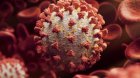 19 са новите случаи на коронавирус в Пиринско