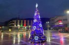 Коледно-новогодишните празници в Белица с богата програма и цветна украса