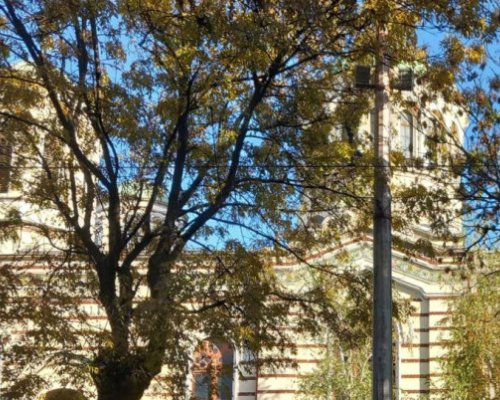Безбожник ограби църква в Сатовчанско