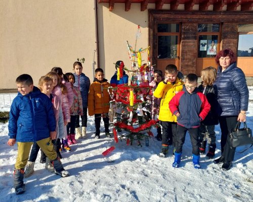 В Белица търсят най-красивата коледна елха