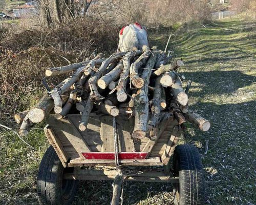 Служители на ТП  ДГС Сандански  установиха нарушители, извършвали незаконно сеч и извоз на дървесина