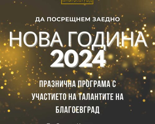 Община Благоевград няма да включи заря в празничната програма в новогодишната нощ