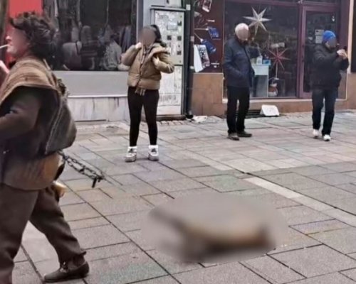Властите в Разлог с позиция за влачената лисица от сурвакар