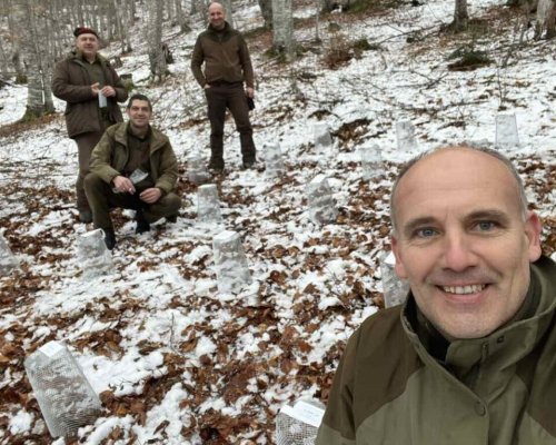 Микроградина с бук и ела създадоха в ДГС Якоруда