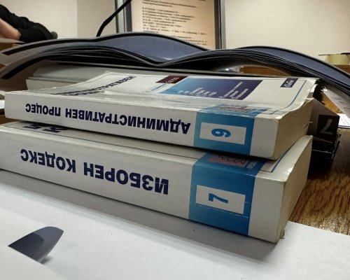 Обвиняема за купуване на гласове и държане на коноп в с. Микрево е предадена на съд