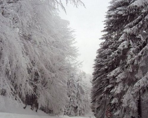 Предстои рязко понижение на температурите