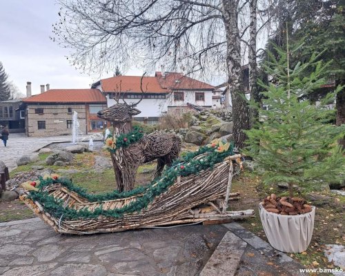 Приключи кампания Коледна елха в община Банско