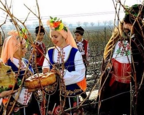 Празненства на Трифон Зарезан в Благоевградско