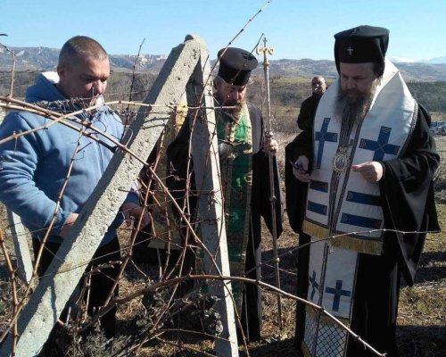 Традиционно: Митрополит Серафим заряза лозята на бизнесмена от Благоевград Николай Бошкилов