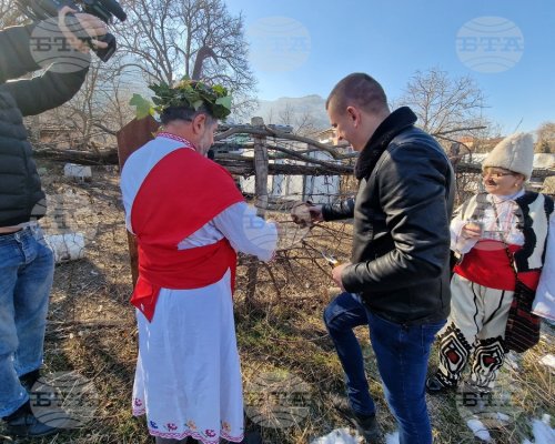 Със зарязване на лозята и конкурс за най-добро вино и ракия отбелязаха Свети Трифон в с. Коларово
