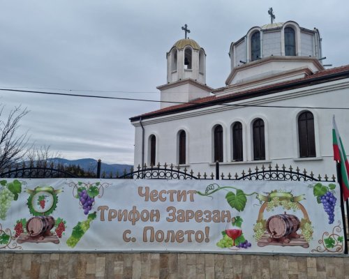 На Трифон Зарезан в Полето, селото с най-много лозови масиви в община Симитли