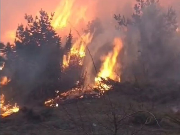 Служители на ЮЗДП се включиха в гасенето на пожар в Национален парк Централен Балкан
