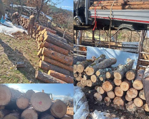 Незаконно добита дървесина беше установена в стопанство в село Крибул