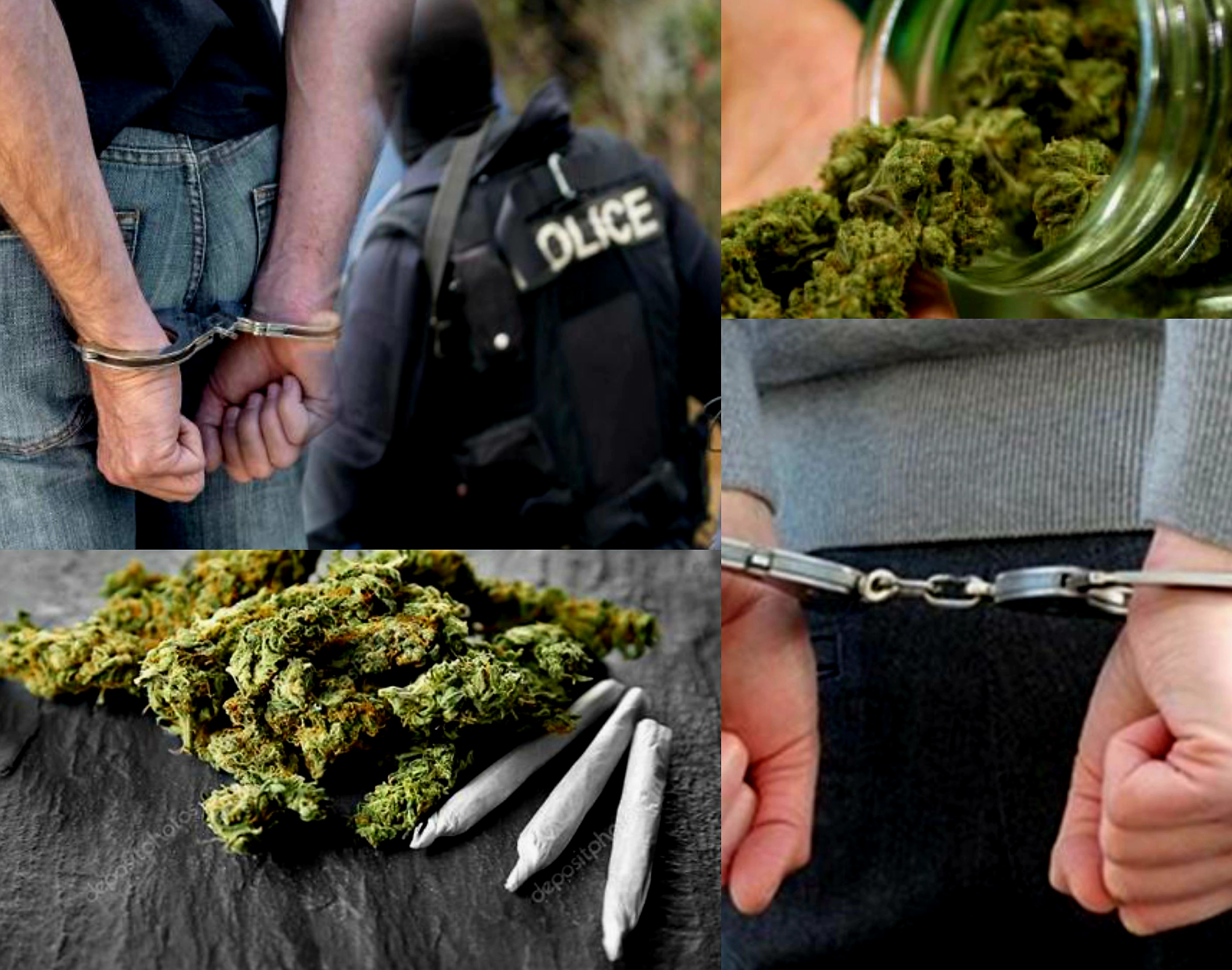 Ченгетата задържаха дилъри на марихуана в Добринище