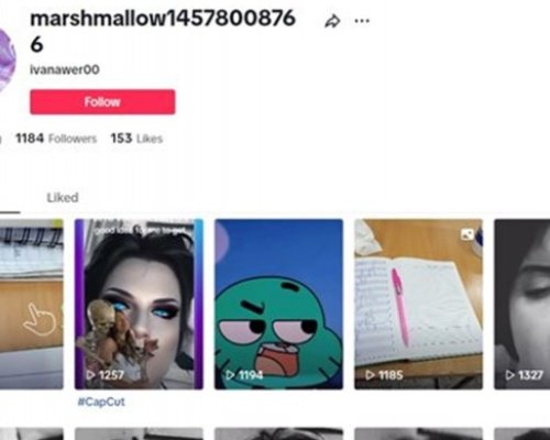Два дни преди да изчезне Ивана публикувала 57 клипа в TikTok