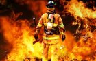 Общо 80 пожара са ликвидирани в страната през последното денонощие