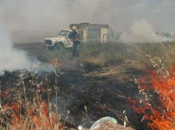 Овладян е пожарът край Фролош