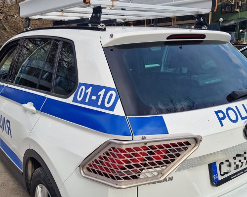 Заловиха крадец на метални тръбни колове в Банско! Издирват крадците на многожилни кабели от фотоволтаичен парк в Разлог
