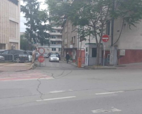 Задържаха домашния насилник от Бобов дол