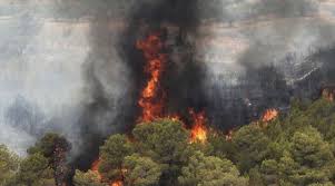 Пожар с площ 250 дка гори в местността  Папаз чаир”