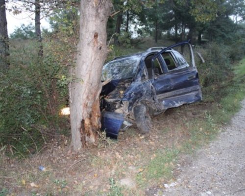 Дядо се заби с автомобила си в крайпътно дърво край Струмяни