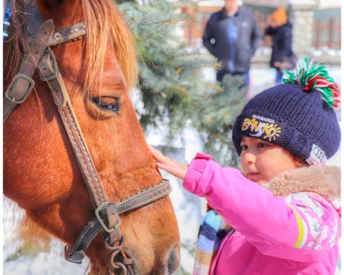 Празнично шествие на Тодоровден в Банско