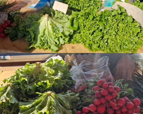 Борим пролетната умора с маруля