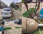 Стара граната вдигна на крак полицията в Благоевград
