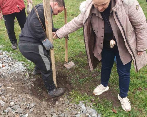 Акция по засаждане на фиданки в Банско