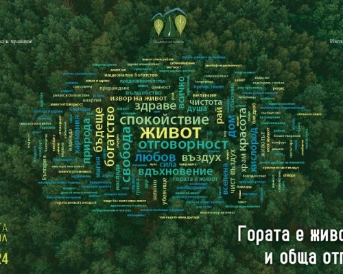 Поредица от мероприятия в Петрич за Седмицата на гората