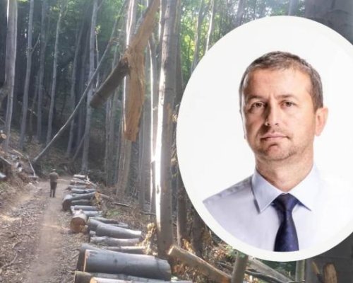 Депутатът от Възраждане-Даниел Петров: Ограничаваме соларите и в горите