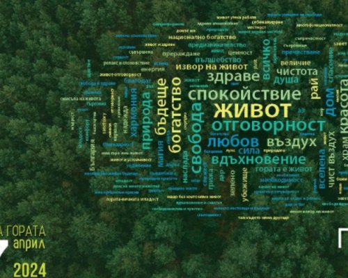 Седмицата на гората продължава с прояви на Предела и край Бачиново