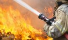 Общо 142 пожара са ликвидирани през последното денонощие в България