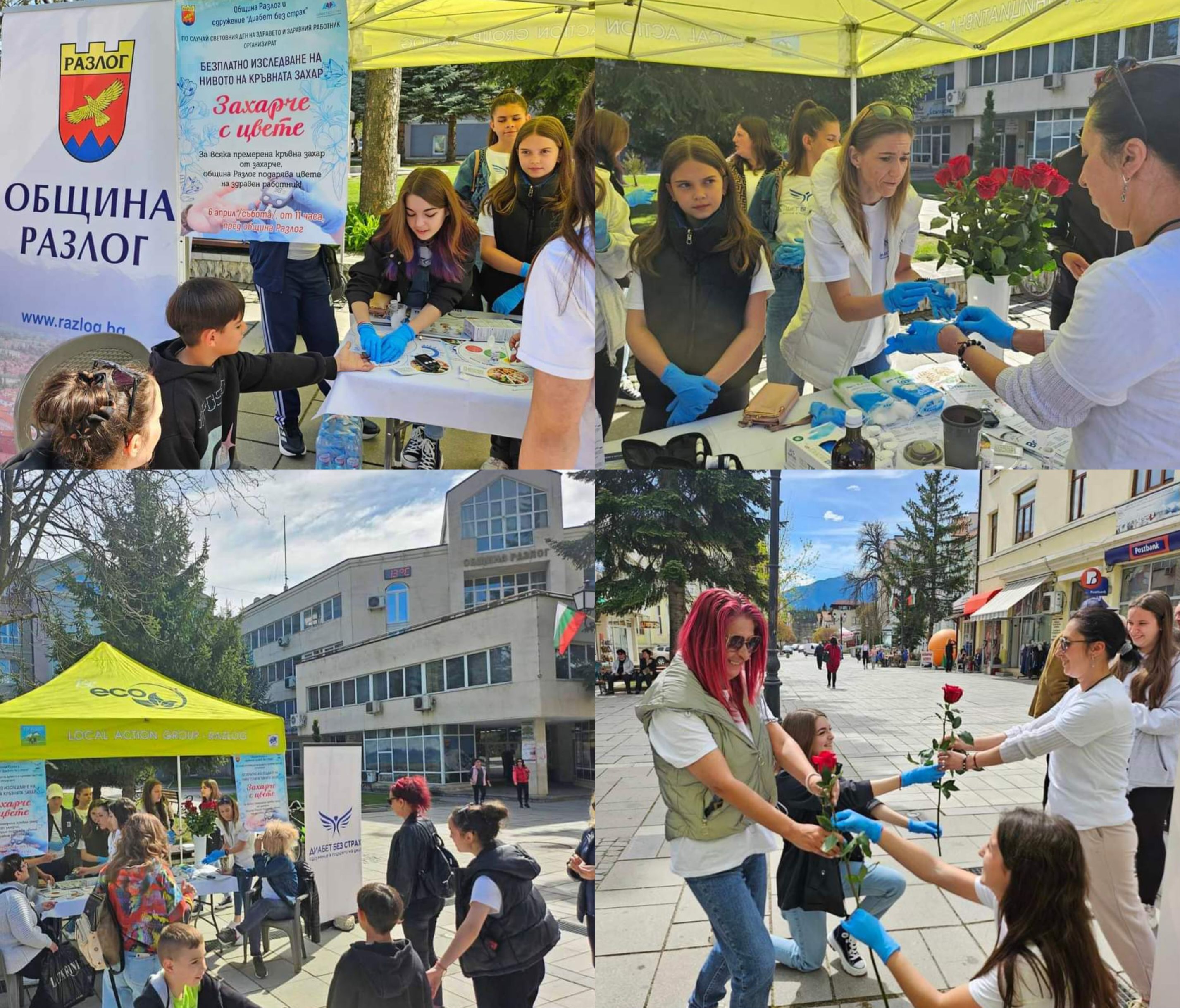 Доброволци от сдружение  Диабет без страх  премериха кръвната захар на 298 души в Разлог