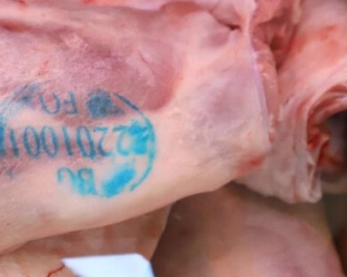 Масраф: Българинът бяга от синия печат за Великден, ще щурмува Одрин