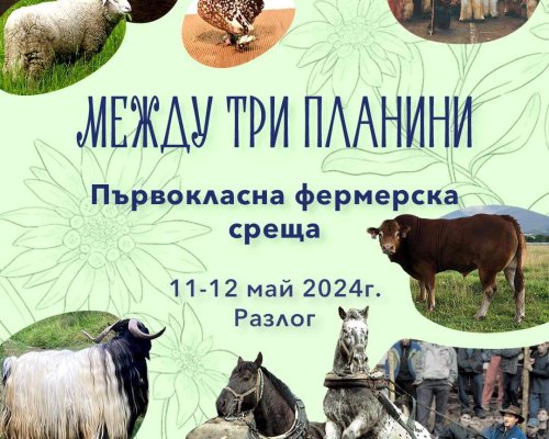 ТРИ ПЛАНИНИ-ПЪРВОКЛАСНА ФЕРМЕРСКА СРЕЩА: Тежковози и животновъдно изложение в Разлог