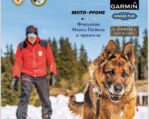 Международен курс за спасителни кучета в Банско