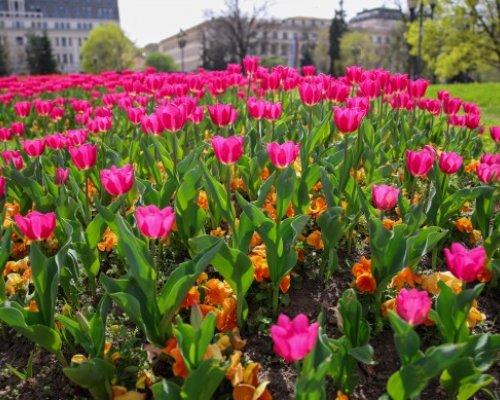 Топлото и слънчево време остава и утре