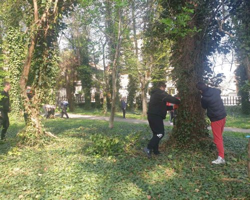 Доброволческа акция С любов към дърветата в Банско