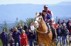 Семейство отглежда коне шампиони в Бачево! Деца проговарят след езда във фермата