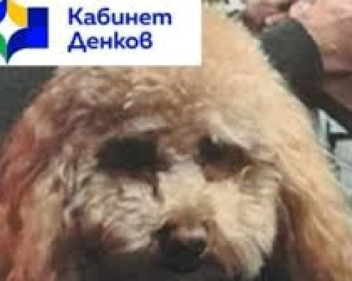 Пуделът си лае, керванът си върви
