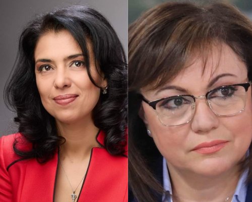Ваня Григорова към Нинова: На изхабени от политическа употреба бастуни им се привиждат патерици