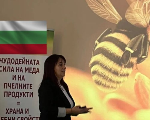 Празник на пчелата организират в Благоевград
