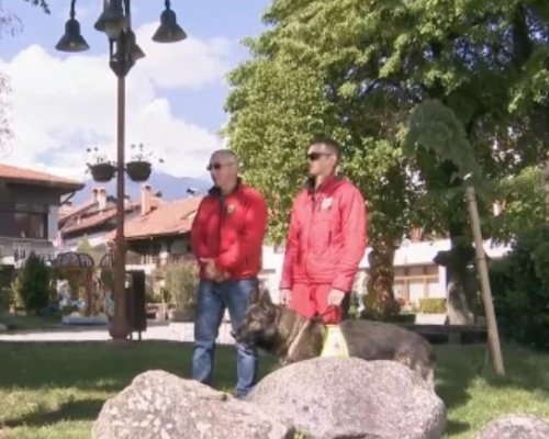 Планински спасители от Банско: Тенденцията е за намаляване на спасителите