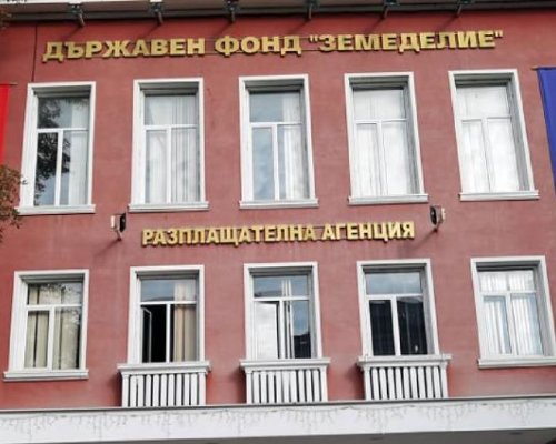 КАРИЕРА: Бивша манекенка оглави Държавен фонд Земеделие!