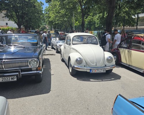 190 ретро автомобила посетиха Симитли
