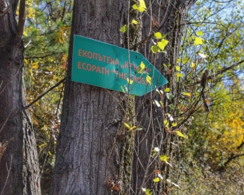 Любители на ходенето в Благоевград преоткриват Екопътека Кръста