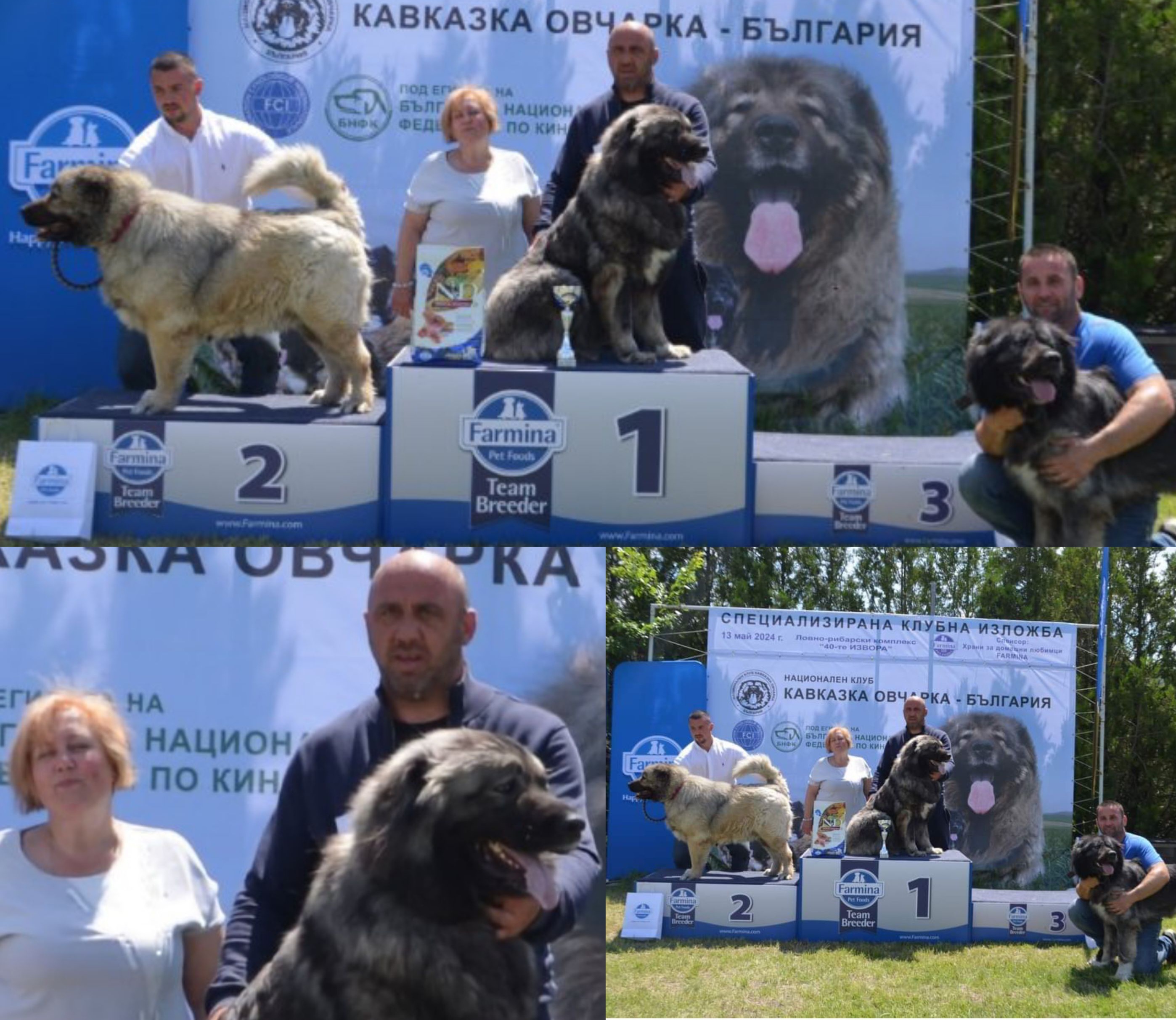 Кавказката овчарка на Стефан Кардажов от Разлог взе 1 място на клубна изложба в Асеновград