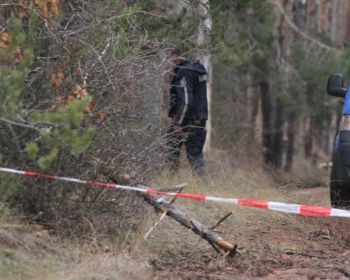 Смразяващо: Животни разкъсали пенсионерката от с. Полена в гората