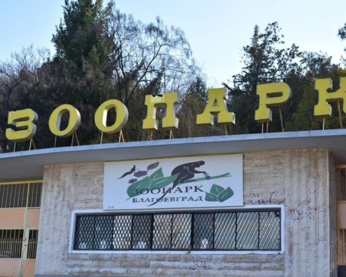 Кметът Байкушев: До три месеца зоопаркът в Благоевград ще има нов ръководител